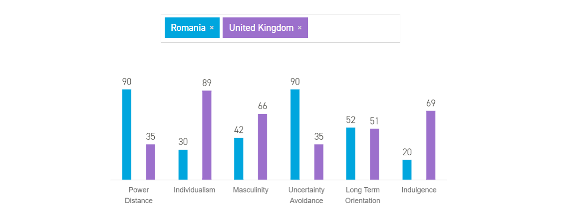 Cultural analysis-project management