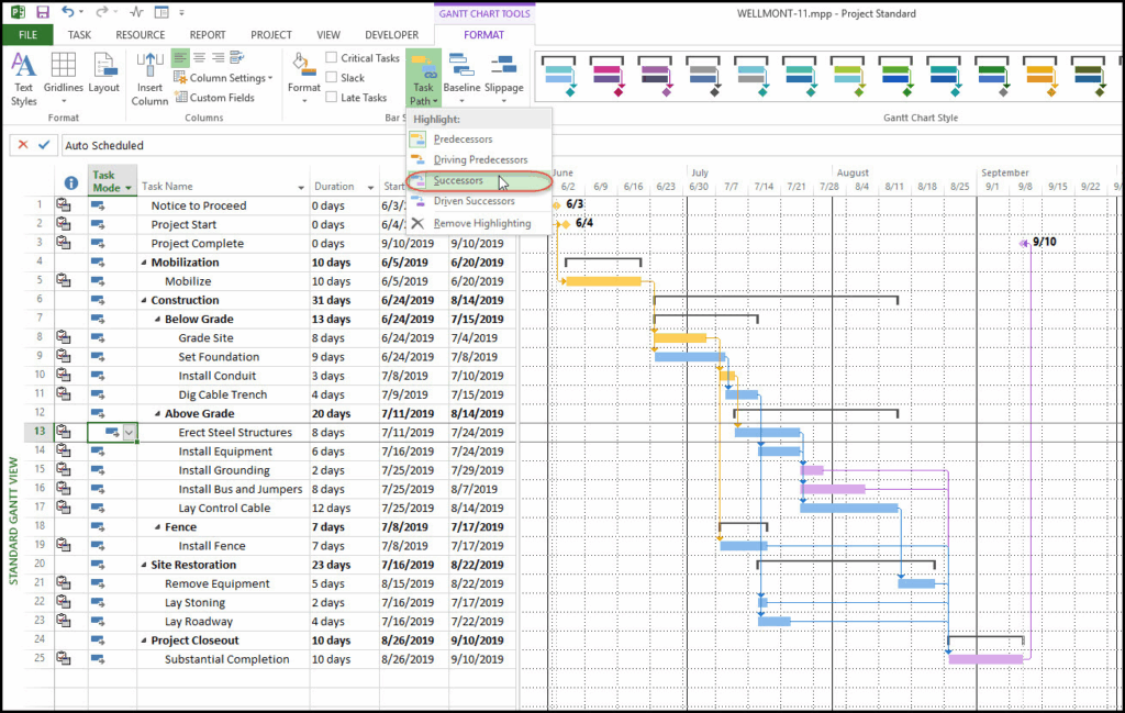 MS Project interface.