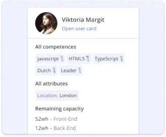 Resource management software UI preview